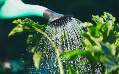 10 Ways to Conserve Water at Home