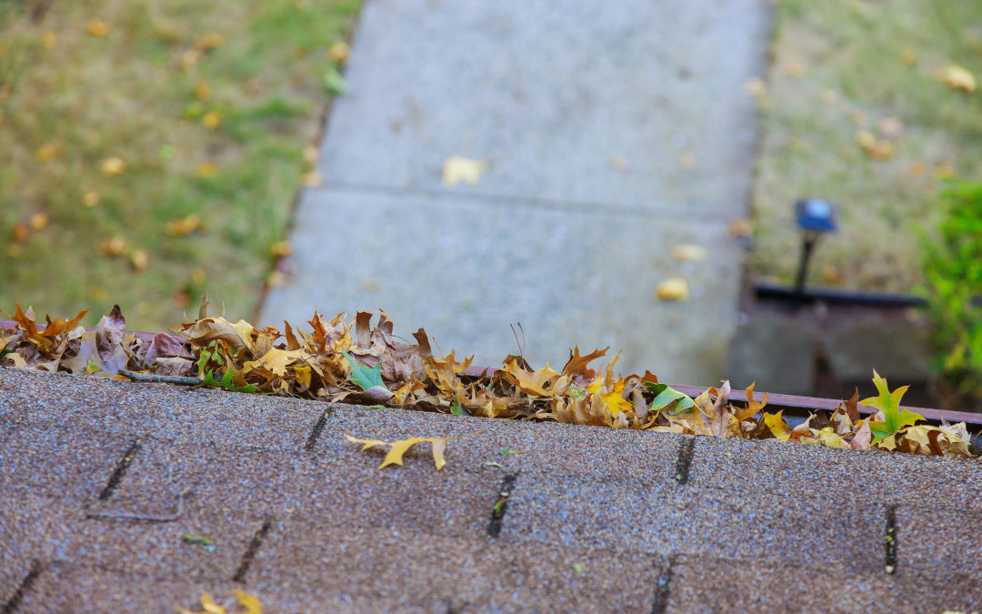 yellow leaves covered with iron gutter cover on roof with leaves on the outside