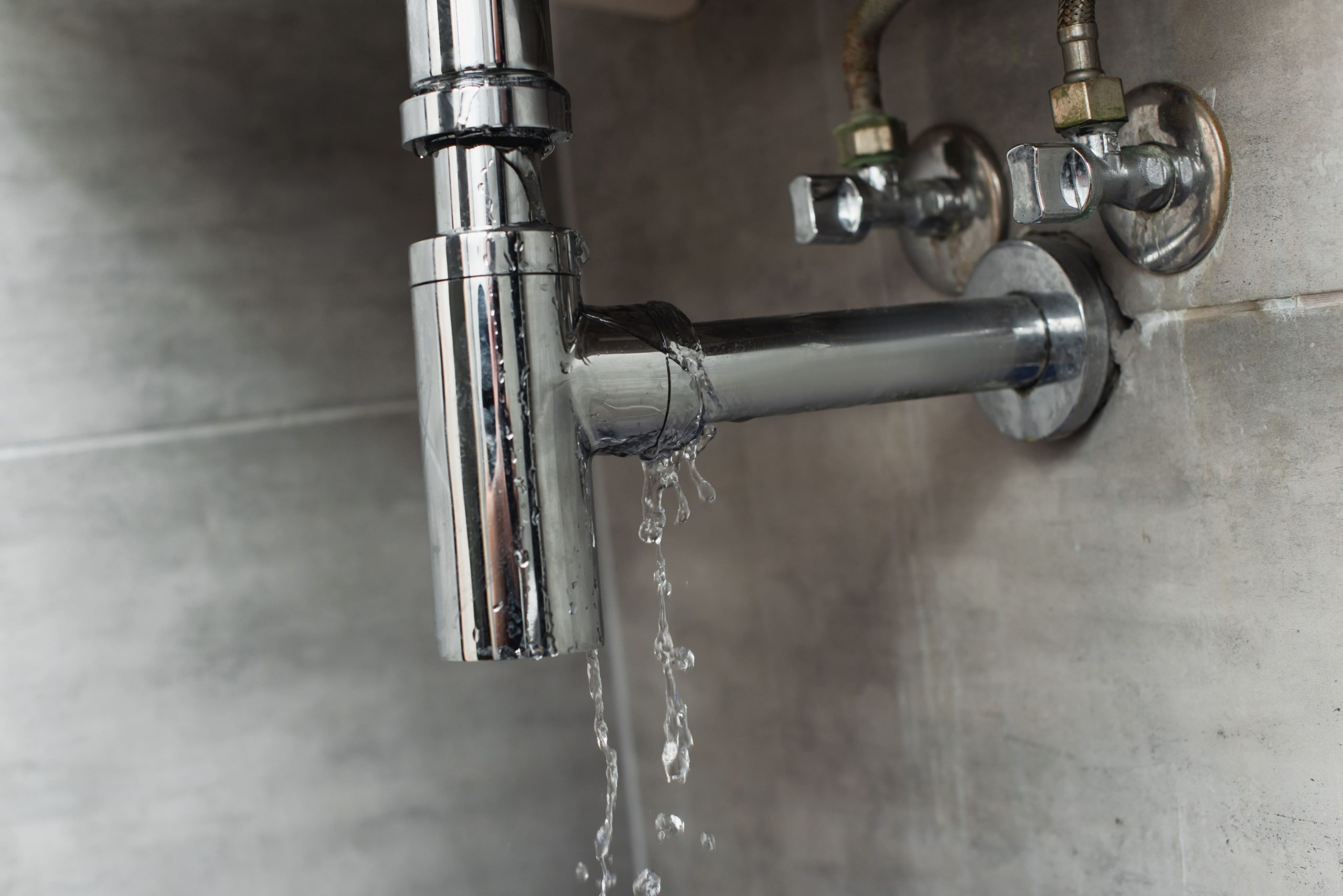 6 Signs That You Have A Leaking Pipe Mike Wilson Plumbing