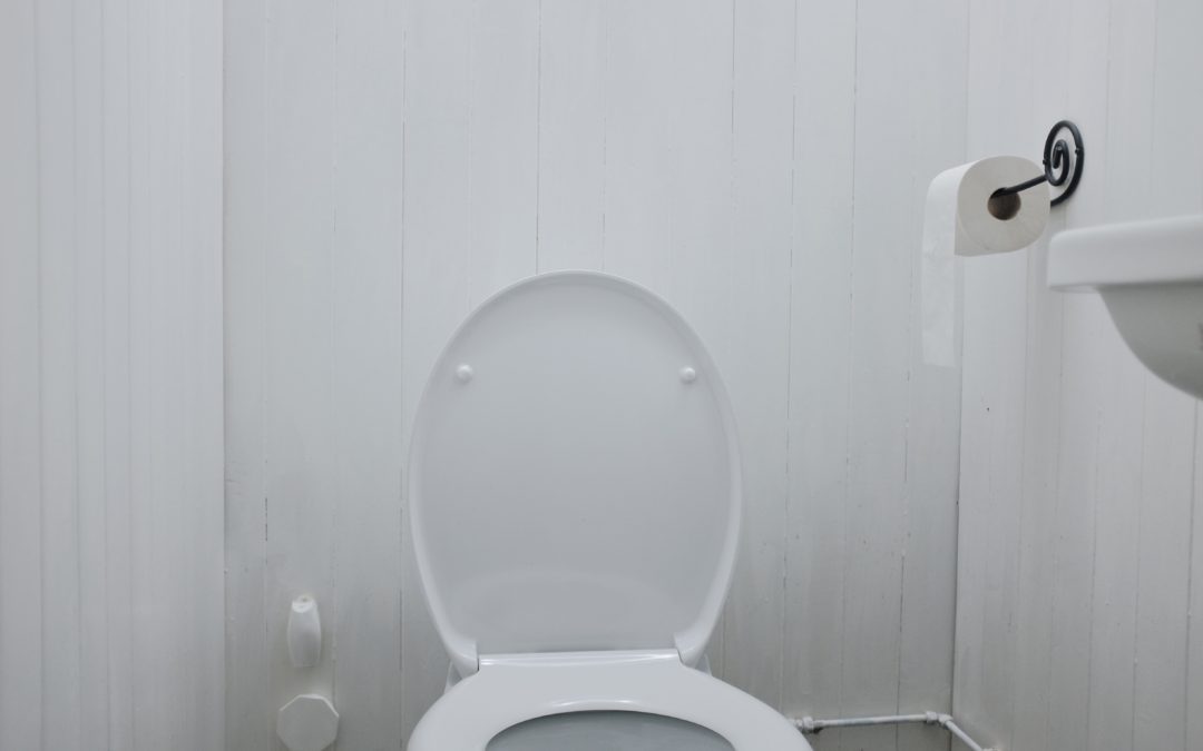 White toilet in white walled bathroom with toilet paper.