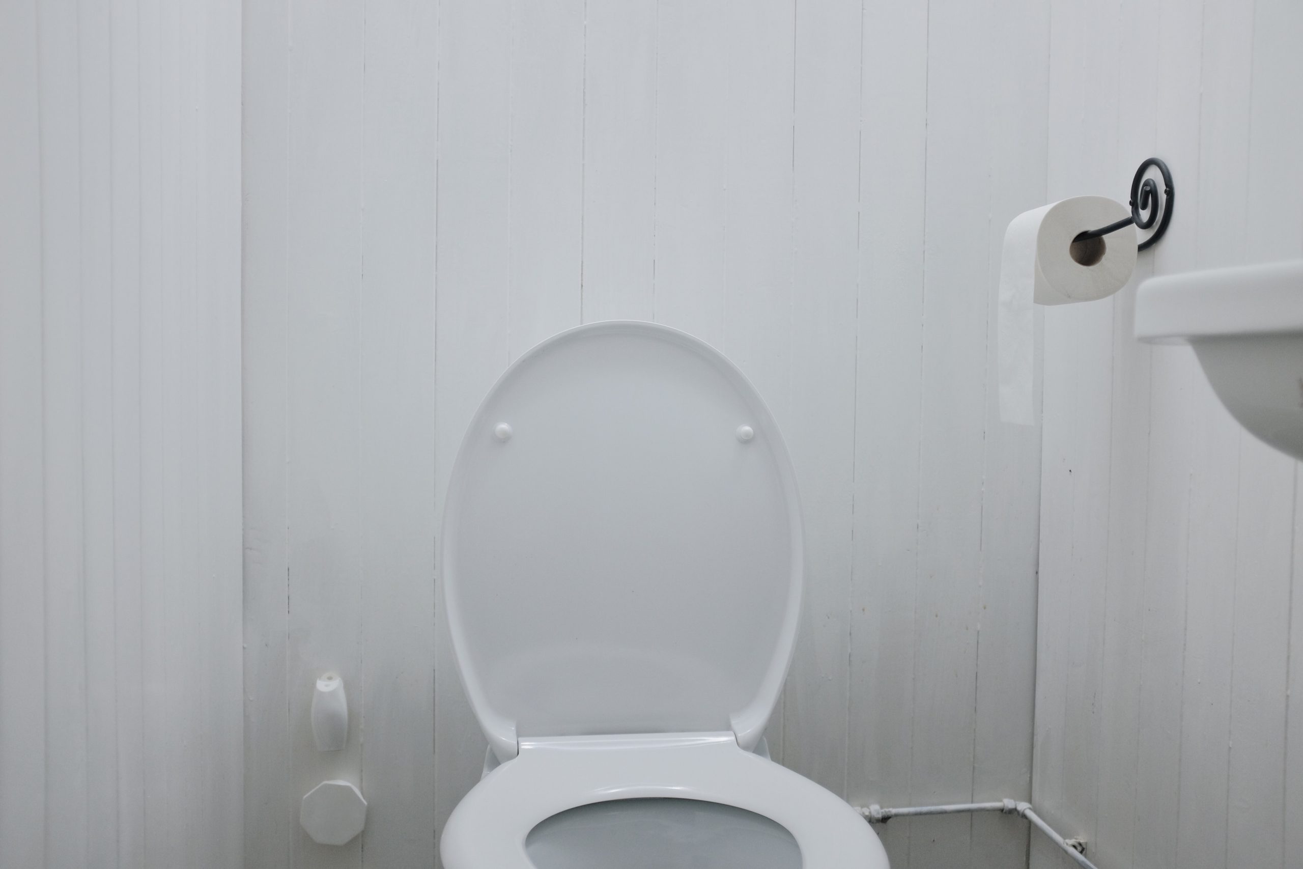 When Was The Toilet Invented? Mike Wilson Plumbing